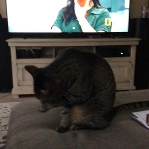 Meet your Posher, Dan